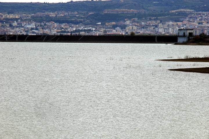 Biviere di Lentini 23.1.2011 (194).jpg